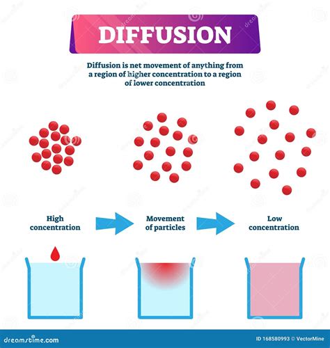 Diffusion Process. Laboratory Flasks With Water Before And After ...