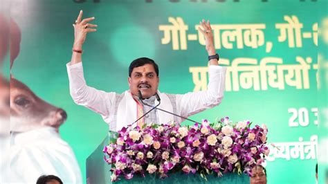 MP का पशुपालन विभाग हुआ गौपालन विभाग, CM मोहन यादव ने की घोषणा; गाय के ...