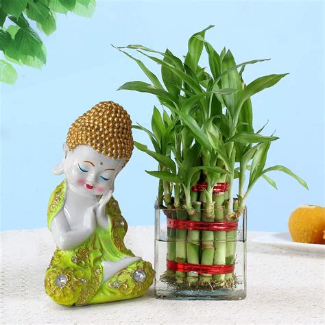 TIED RIBBONS Glass Bamboo Plant With Pot And Buddha Showpiece, Standard ...