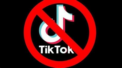 Petition · Ban TikTok in India! - India · Change.org