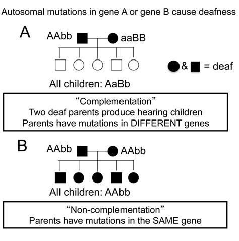 Image result for Complementation Example