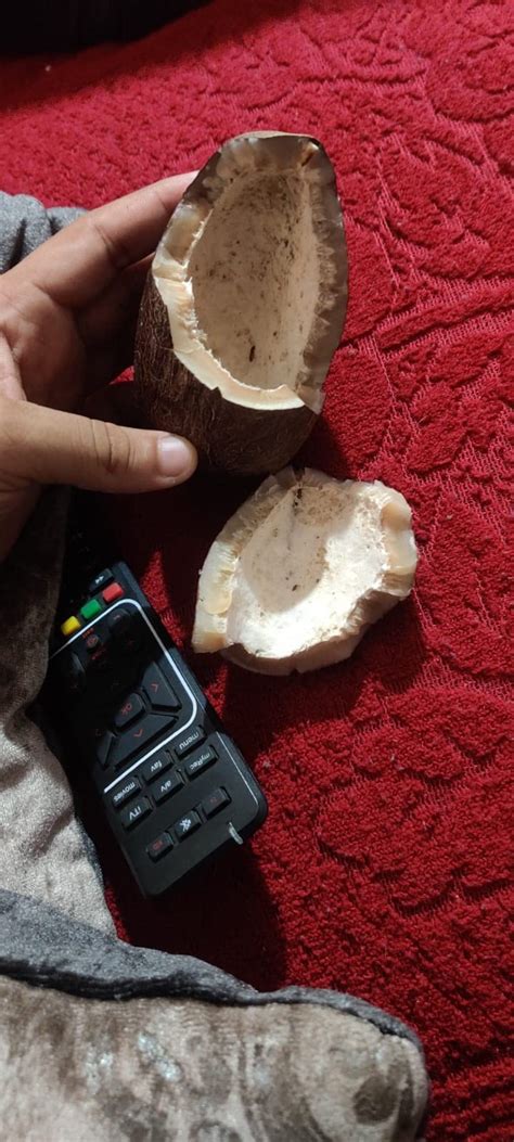 PNC Quality bazar Kerala Dry Coconut Whole/Copra/Nariyal -800 Gm, Fresh ...