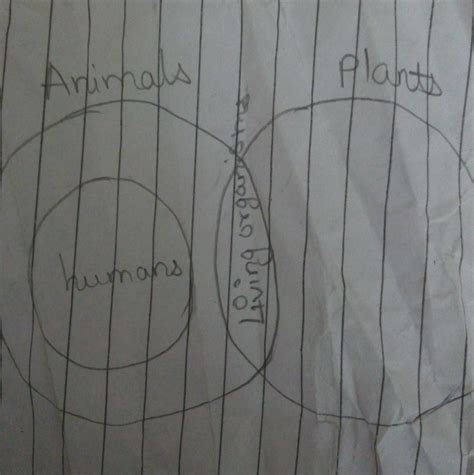 What is ven diagram of humen :animals :and plants - Brainly.in