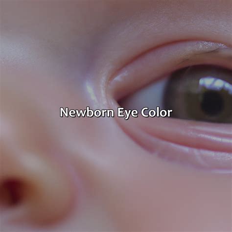 Newborn Eyes Gray