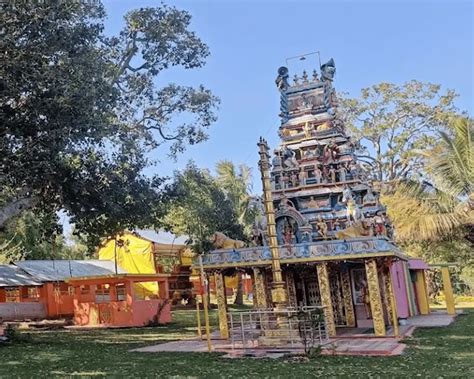 Nilavoor Lake: Timings, Boating, Nearby Places