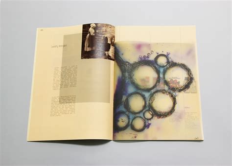 Visual Essay Example 的图像结果