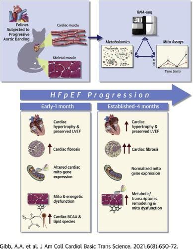 HFP Lab Test 的图像结果