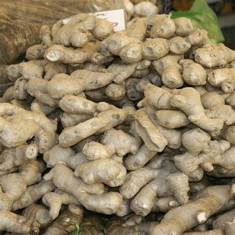 justcooking.in - Food Dictionary - Root Vegetables