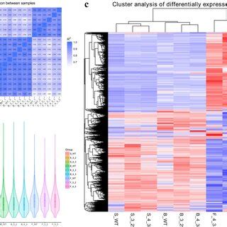 Heat Map of Transcriptome Analysis of Pathogen Infection 的图像结果