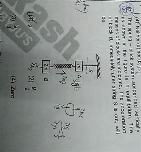 Spring Block System 的图像结果