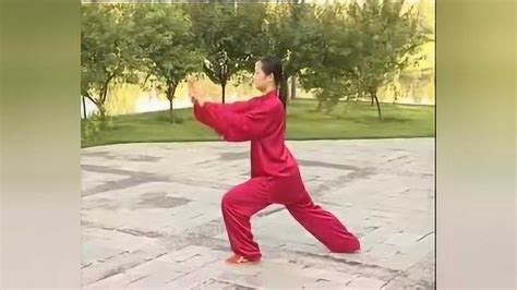 吴阿敏40式太极拳全套示范（背向）_腾讯视频