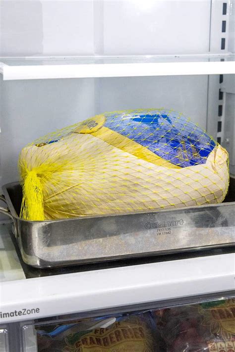 How to Thaw a Turkey - Jessica Gavin
