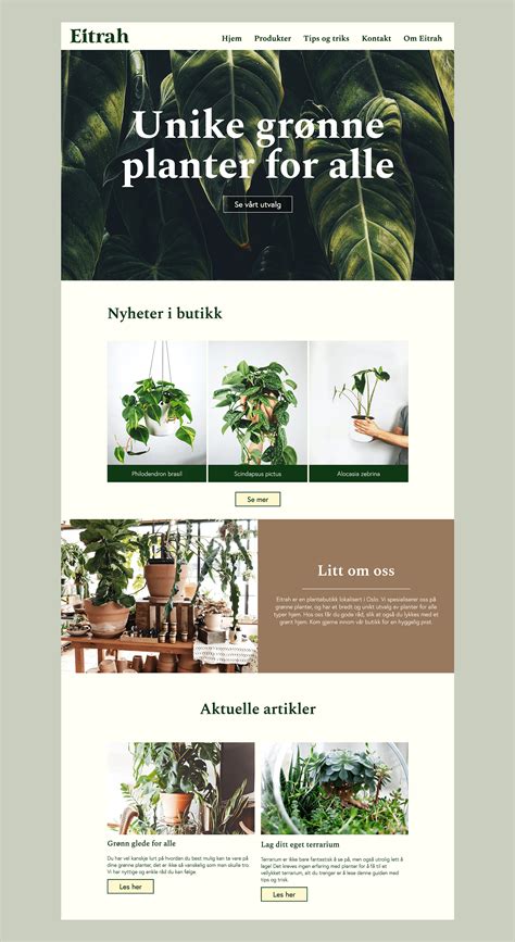 Image result for Project Image Using HTML/CSS