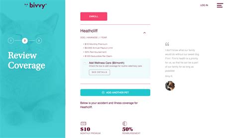 Introducing Bivvy Pet Insurance