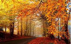 Desktop Background Autumn Wallpapers by Beautiful Autumn Wallpapers The Wow Style Desktop Background Autumn Wallpapers