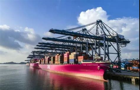 宁波舟山港2020年货物吞吐量蝉联全球第一_凤凰网视频_凤凰网