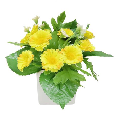 Yellow Daisies in White Ceramic Pot, 7"