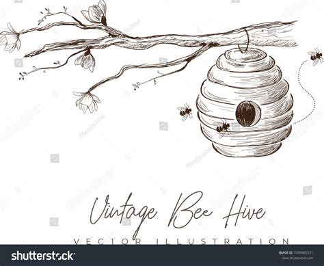 Beehive Drawing