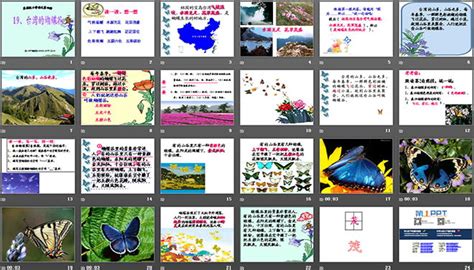 《台湾的蝴蝶谷》PPT课件5PPT课件下载 - 第一PPT
