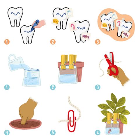 Step by Step Science 的图像结果