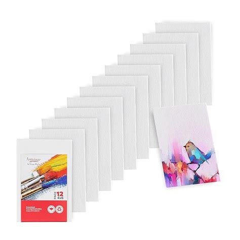 Artlicious Canvases for Painting - Pack of 12, 4 x 6 Inch Blank White ...