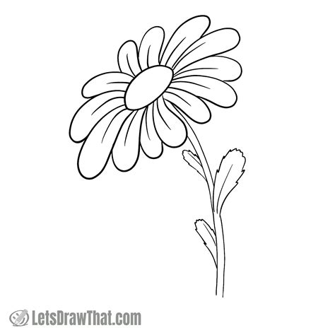 Daisy Flower Easy Drawing at Bonnie Messner blog