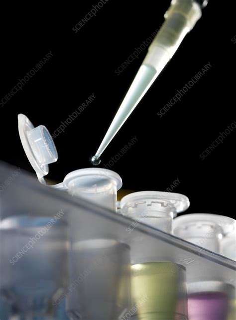 Image result for What Is DNA Analysis