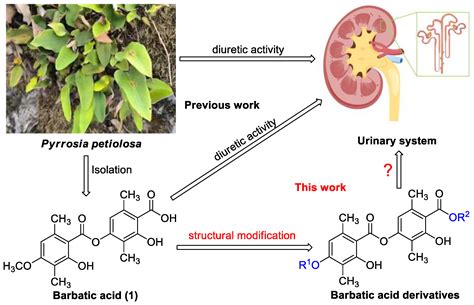 Semisynthesis, Biological Evaluation and Molecular Docking Studies of ...