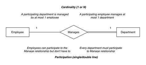 Image result for Cardinality Ratio Examples