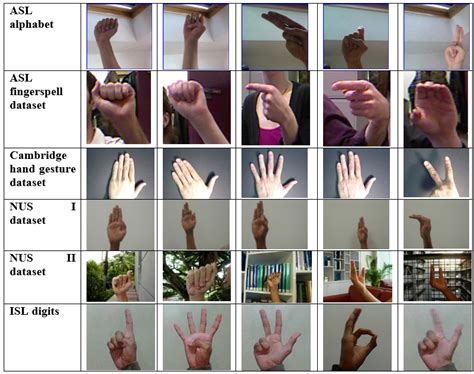 Sign Language Gesture Recognition with Convolutional-Type Features on ...