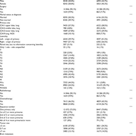 Nested Loop Exercises 的图像结果