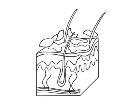 Buy Best Depigmenting Cream for Intimate Area Whitening Cream | WYN