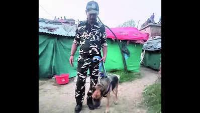 Poaching Suspects: Forest Dog Sniffs Out Poaching Suspects, 3 Held ...