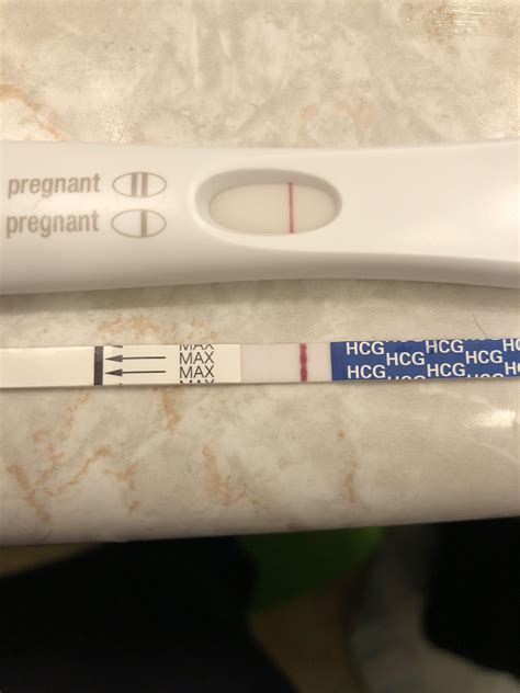 Pregmate Pregnancy Test Vs Frer - typetrust