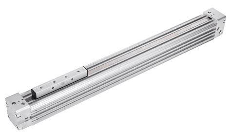 Image result for Rodless Cylinder Section View