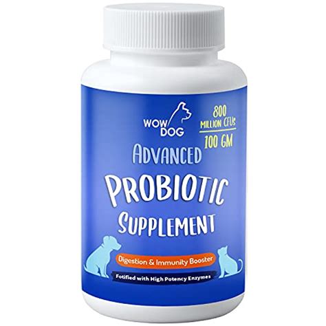 Top 10 Omega Probiotic Prebiotics of 2022 - Best Reviews Guide