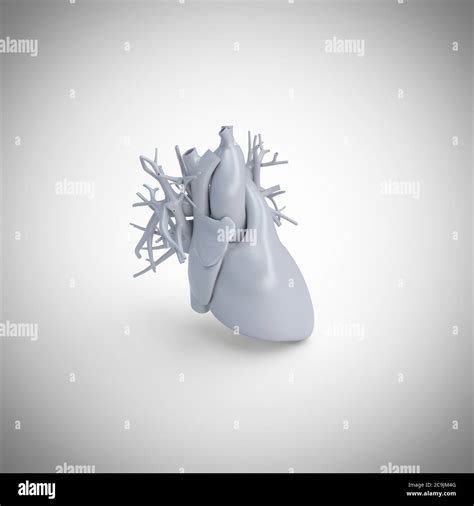 Image result for Computer Human Heart Model