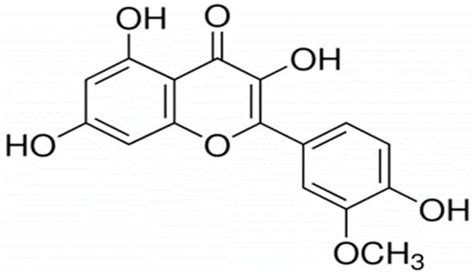 Anti-Obesity Effects of Isorhamnetin and Isorhamnetin Conjugates