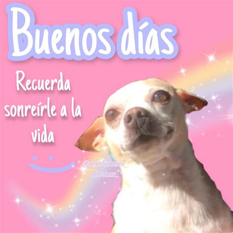 Memes De Buenos Dias