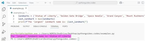 Max Function Python 的图像结果