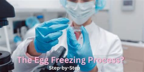 Image result for Egg Freezing Process