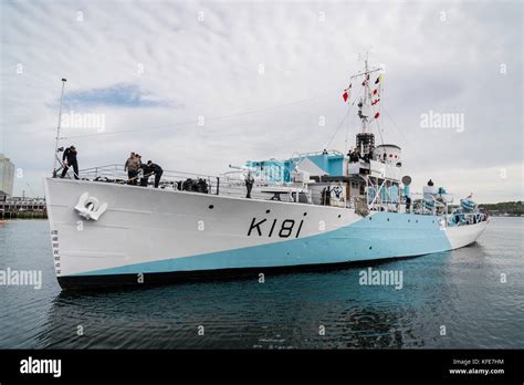 Image result for Flower Class Corvette Compass Rose