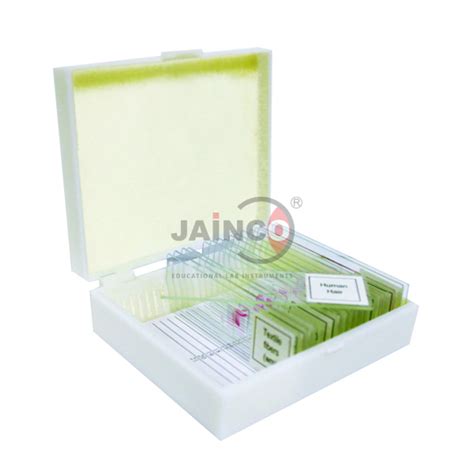 Insect Parts Prepared Slide India, Insect Parts Prepared Slide ...