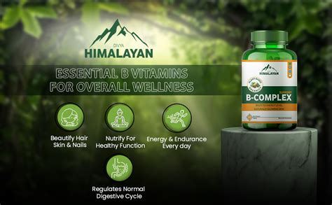 Divya Himalayan Plant-Based B-Complex Support Supplement, 60 Tablets ...