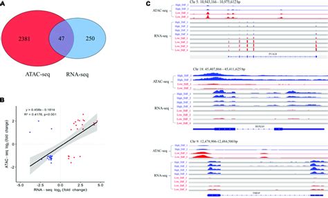 Image result for ATAC-seq Data Analysis