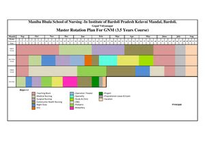 Evaluation format final - NURSING CARE PLAN EVALUATION FORM (FIRST YEAR ...