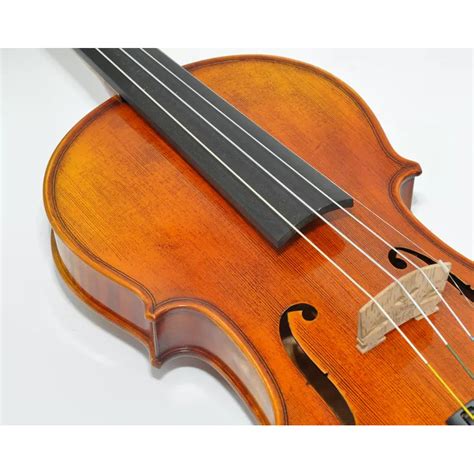 Image result for String Instruments Violin