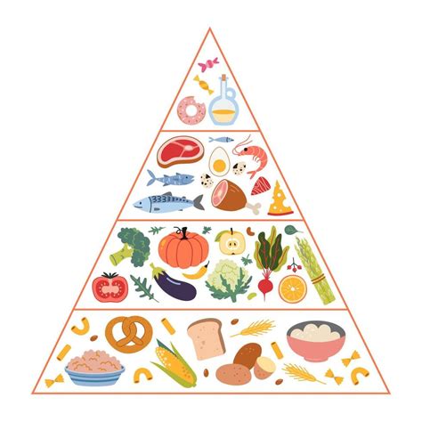 Image result for Food Pyramid Menu Pattern