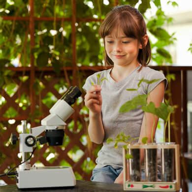 Image result for Density Science Projects