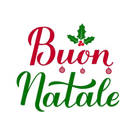 Buon Natale calligrafia scritte a mano con vischio bacche di agrifoglio ...